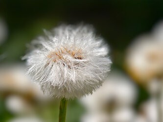 IMG_20250510_141524.jpg