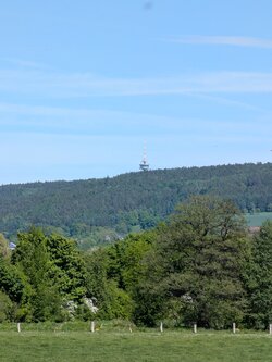 PXL_20250510_131319601.jpg