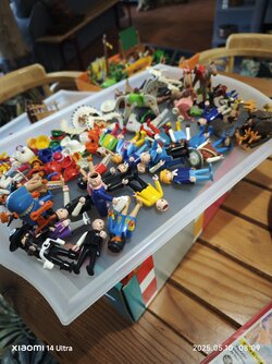 IMG_20250510_080941.jpg