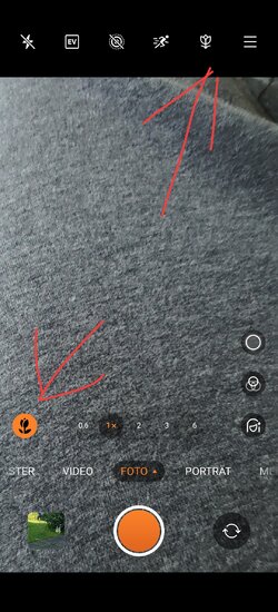 1000004588.jpg