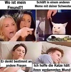 Lustiges_Meme_mit_Katze_und_Beziehungskonflikt.jpg