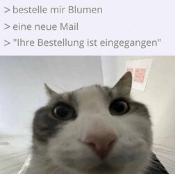 thumbs_picdump933_088.jpg
