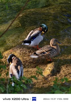 IMG_20250510_180623.jpg