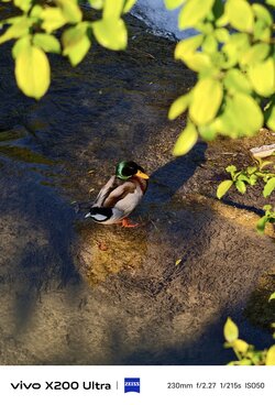 IMG_20250510_180654.jpg
