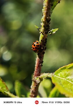 IMG_20250510_161918.jpeg