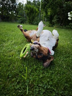 IMG_20250504_164624_1.jpg