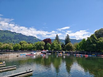 IMG_20250510_142647.jpg