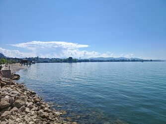 IMG_20250510_150349.jpg
