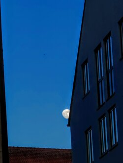 IMG20250510203058~2.jpg