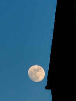 IMG20250510202929~2.jpg