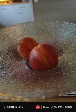 IMG_20250511_092602.jpg