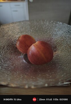 IMG_20250511_092525.jpg
