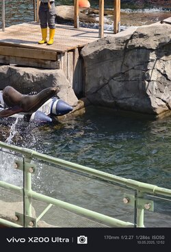 IMG_20250510_125229_1.jpg