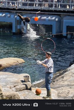 IMG_20250510_125217.jpg