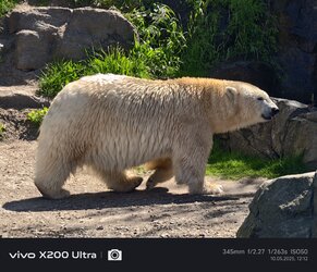 IMG_20250510_121200.jpg