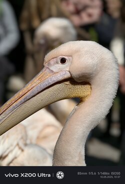IMG_20250510_103718.jpg