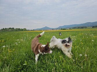 20250508_185002.jpg