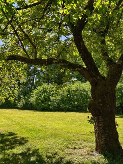 IMG_20250511_110232.jpg