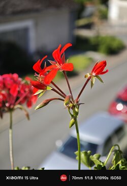 IMG_20250511_103358.jpg