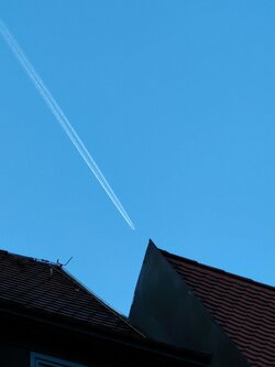 IMG20250510202017~2.jpg