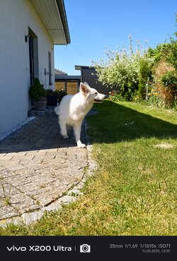 IMG_20250511_130942.jpg