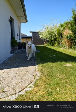 IMG_20250511_130941_1.jpg