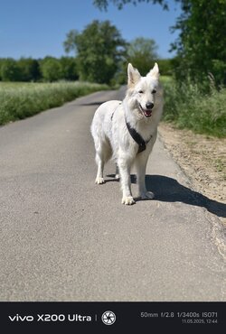 IMG_20250511_124408.jpg