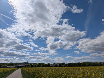 PXL_20250511_134043301.jpg