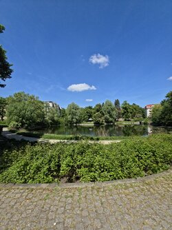 20250511_131019.jpg