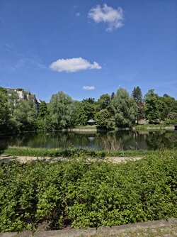 20250511_131023.jpg