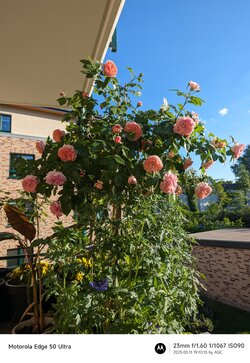 Gcam20250511_191015692.jpg