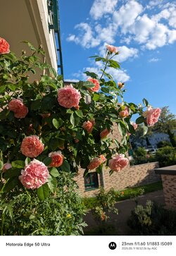 Gcam20250511_185226467.jpg