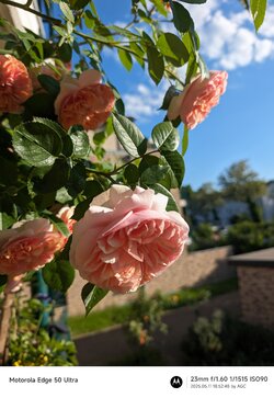 Gcam20250511_185248137.jpg
