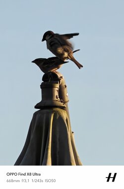 IMG20250511200105.jpg