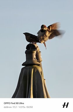 IMG20250511200039.jpg