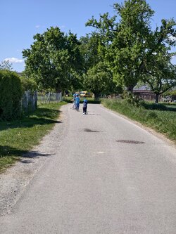 IMG_20250511_155739.jpg