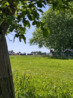 IMG_20250511_160214.jpg