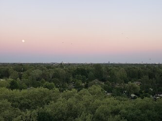 20250511_205150.jpg
