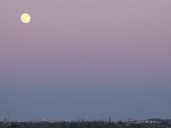 20250511_205230.jpg
