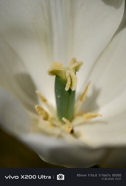 IMG_20250511_132742.jpg