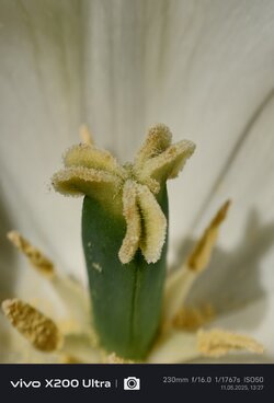 IMG_20250511_132728.jpg