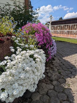 PXL_20250510_133052820.jpg