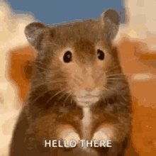 .animated_1747039269948.gif