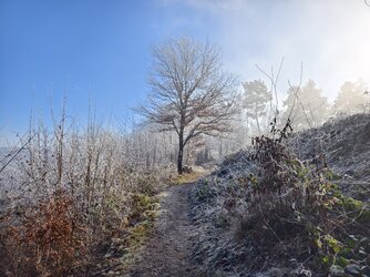 IMG_20250202_111826.jpg