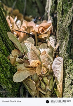 Gcam20250508_112152224.jpg