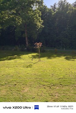 IMG_20250512_173654.jpg