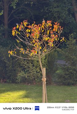 IMG_20250512_173746.jpg