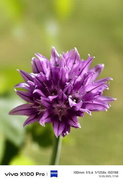 IMG_20250512_175855.jpg