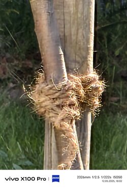IMG_20250512_180235.jpg