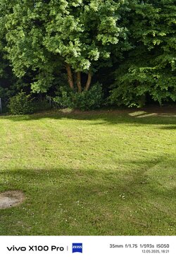 IMG_20250512_182100.jpg